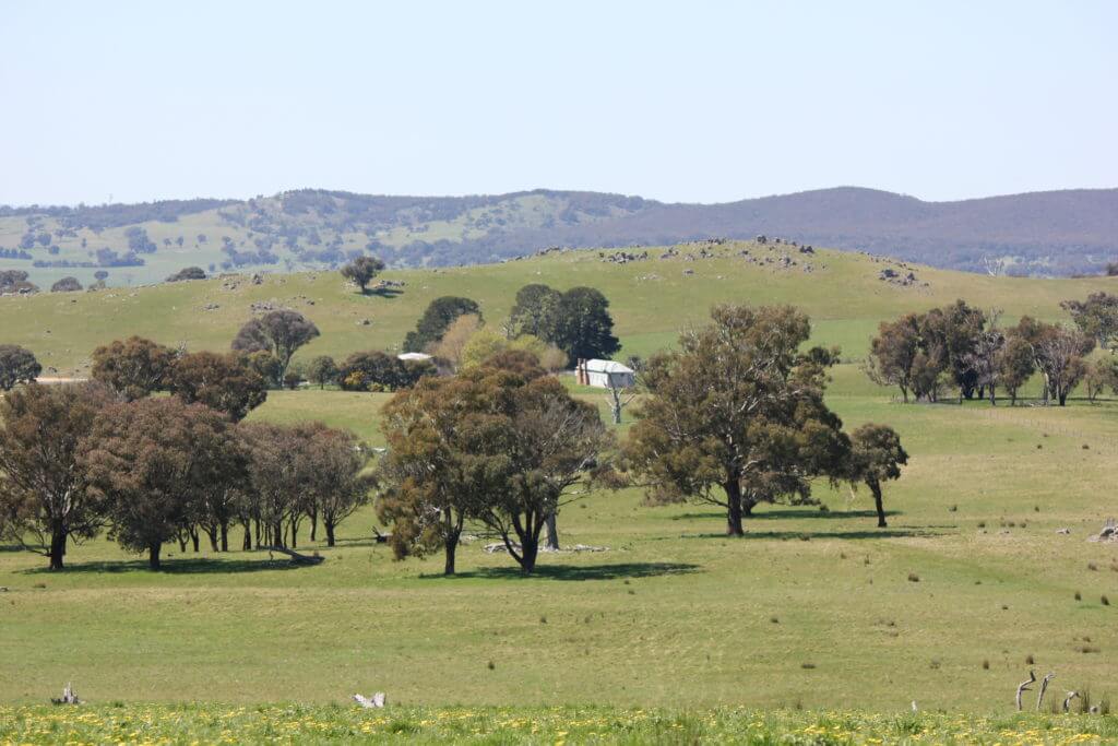 IoT Solution for NSW Cattle and Sheep Station