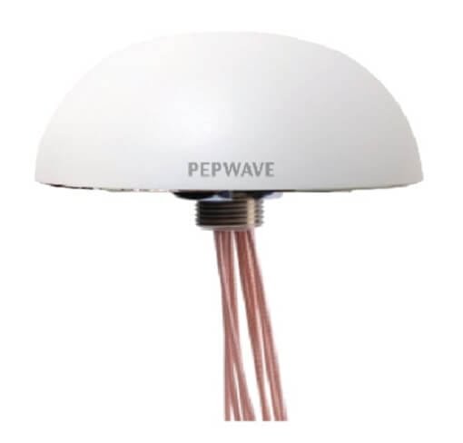 Peplink ANT 100 LTE4 G IP67 Dome Omnidirectional Dual MIMO LTE Antenna 1